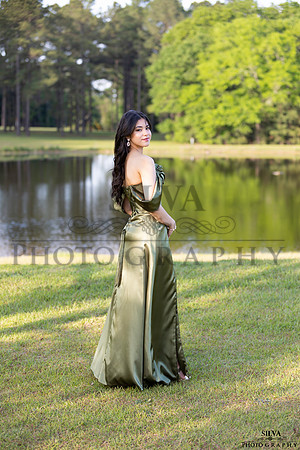 IRS_2453-2