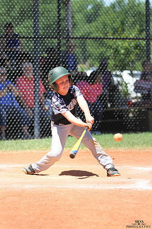 IMG_3731