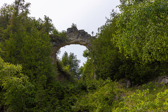 IRS_6775