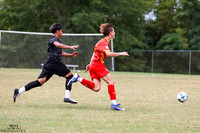 IRS_7648