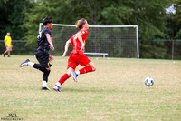 IRS_7647