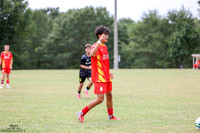IRS_7644