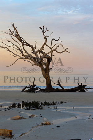 IRS_6255