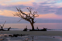 DriftWood Beach