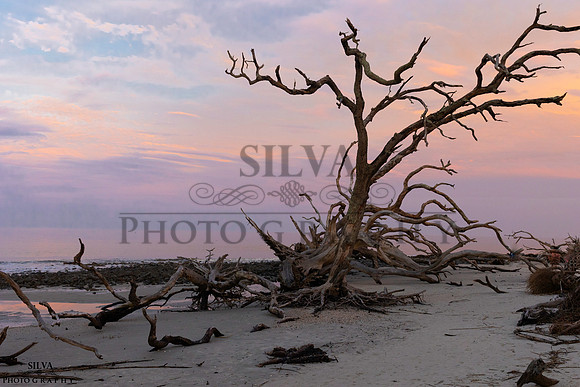 IRS_6274