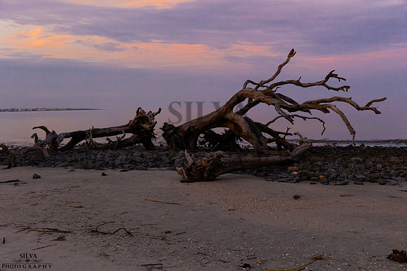 IRS_6278