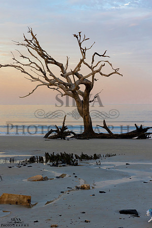 IRS_6253