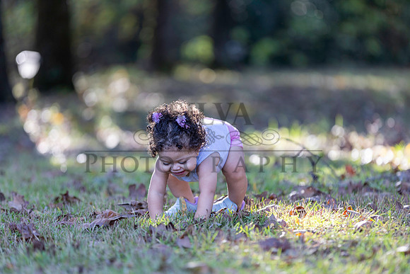 IRS_6797