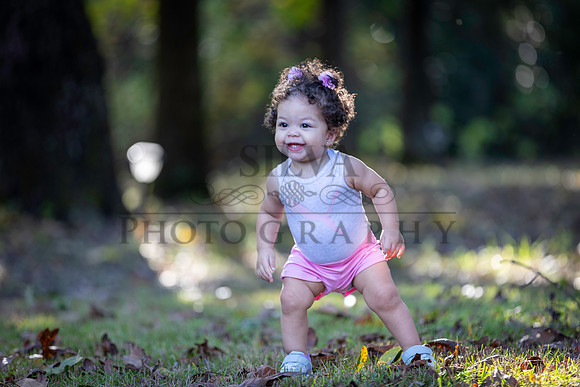 IRS_6799