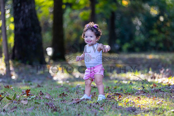 IRS_6801