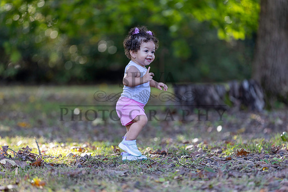 IRS_6804