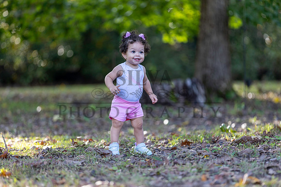 IRS_6806