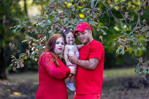 IRS_6833