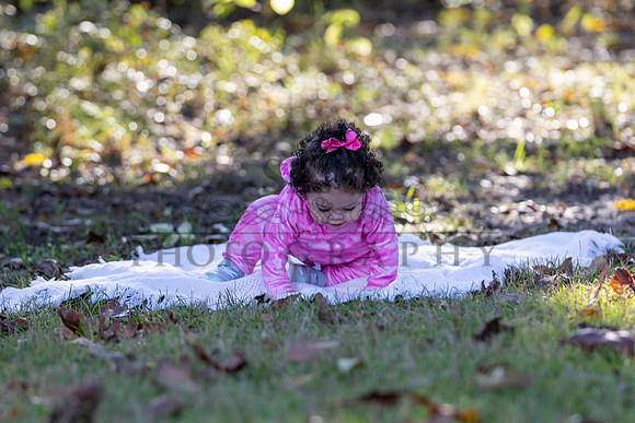 IRS_6844