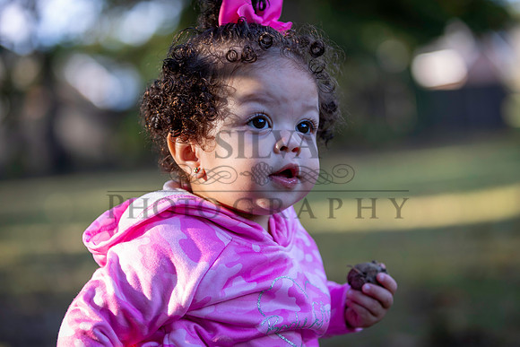 IRS_6852