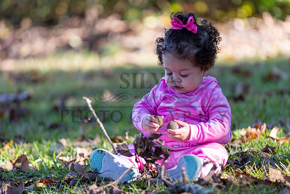 IRS_6863