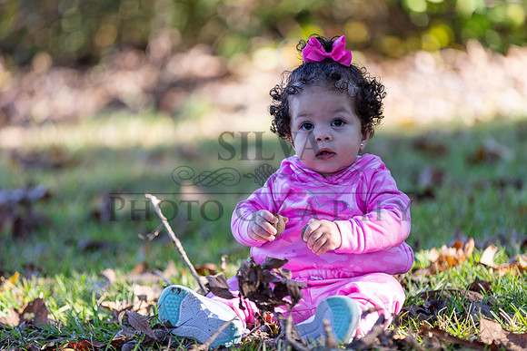 IRS_6864