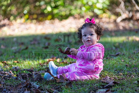 IRS_6874
