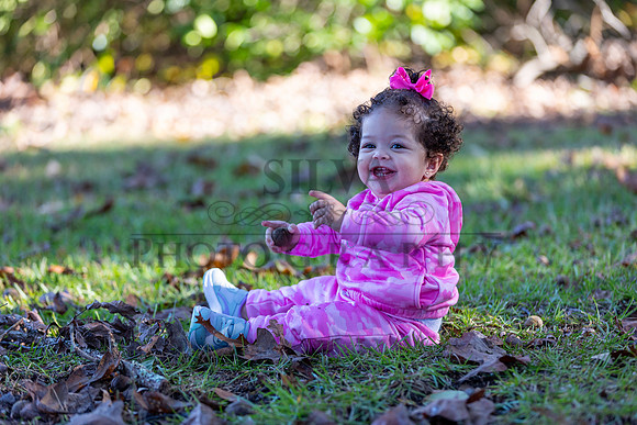 IRS_6877