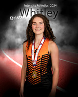 Bristol 0081