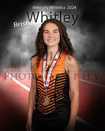 Bristol 0081