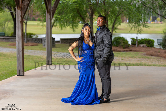 IRS_8665