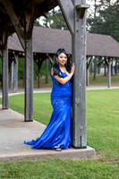 IRS_8579