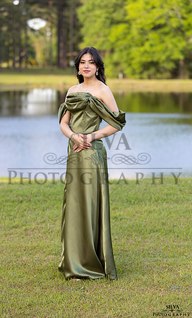 IRS_2446-2