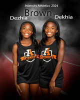 Brown 9669