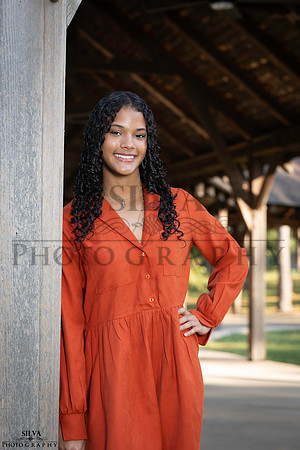 IRS_0085